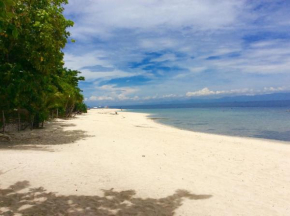  Ravenala Beach Bungalows  Moalboal